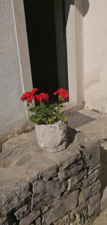 Hostel Skrla Divaca Exterior photo